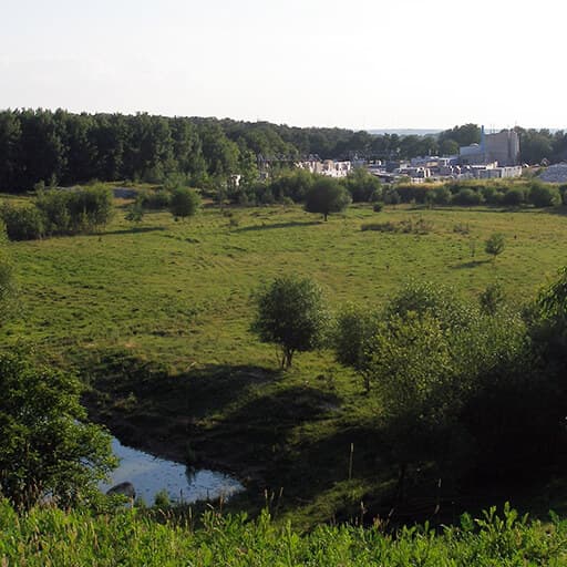 Sandgrube