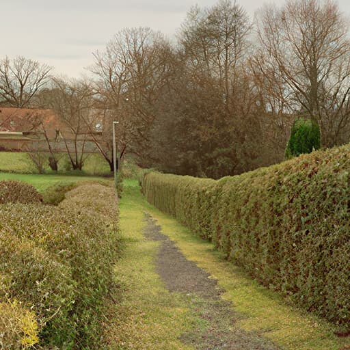 Pattweg