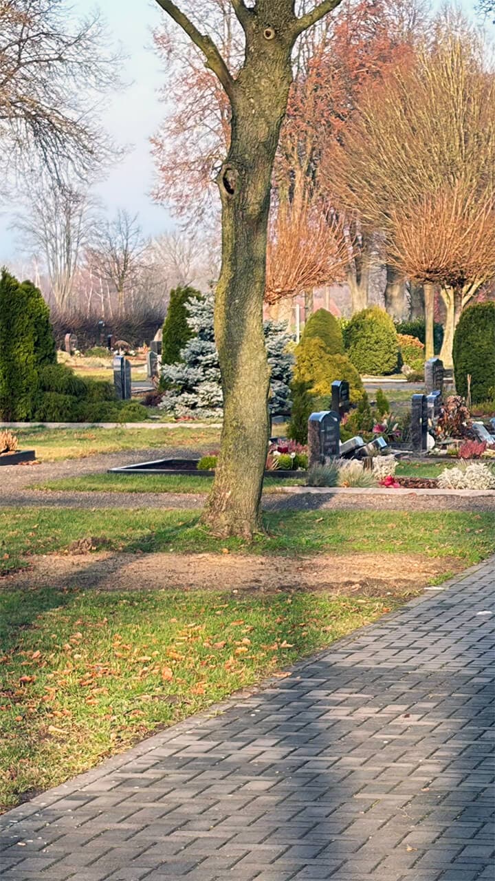 bg_friedhof_neuenknick