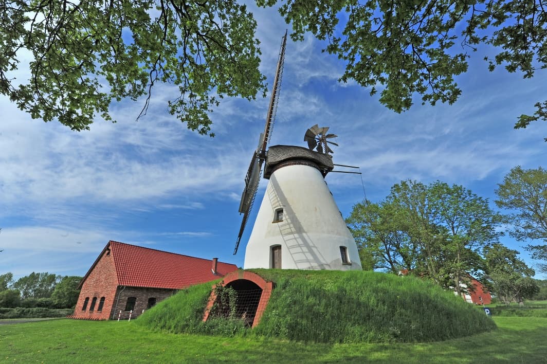 Historische Windmühle mit weißen Wänden und Schilfdach, umgeben von grünen Bäumen und blauem Himmel.
