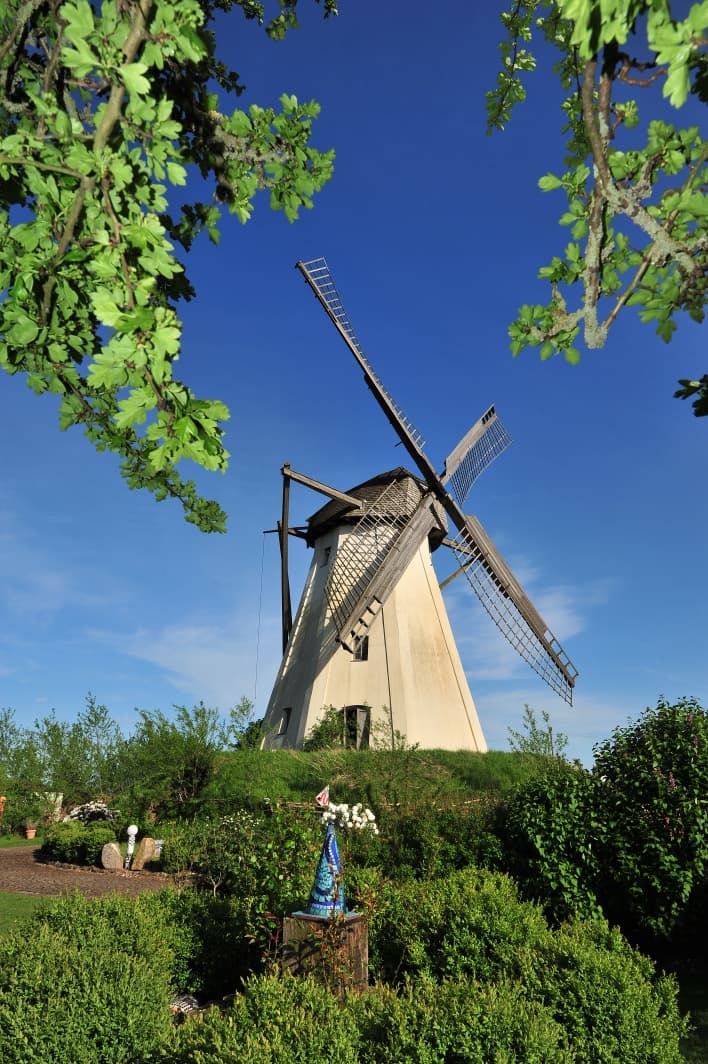 Historische Windmühle Großenherse, umgeben von grüner Natur und blühenden Pflanzen unter blauem Himmel.
