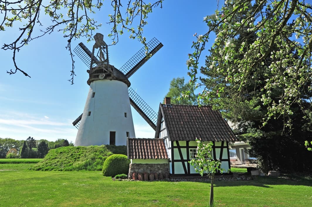 Historische Windmühle mit weißem Turm und Balkenflügeldach, umgeben von grüner Landschaft und Bäumen.