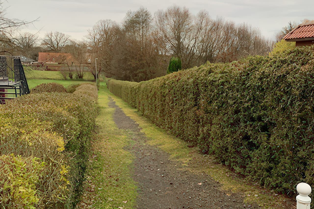 title_pattweg_karkhoff