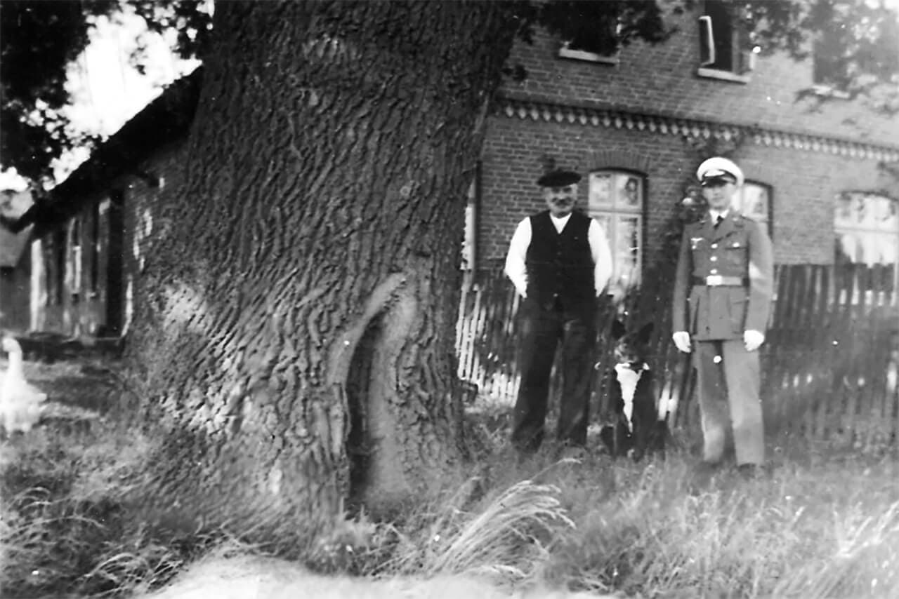 title_500-jahr-eiche